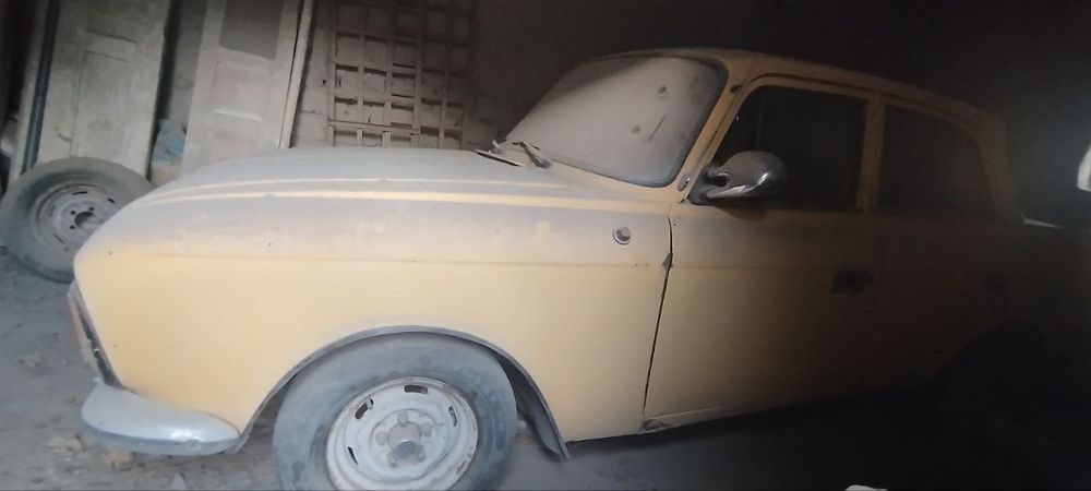 Maskvich sariq holati zoʻr telda yana kelishtrib beriladi tel qlila