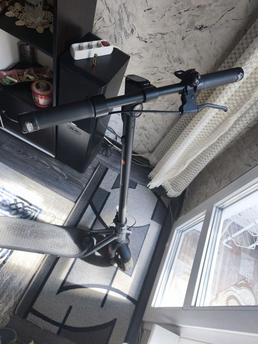 2 броя Електрическа тротинетка Ninebot F2