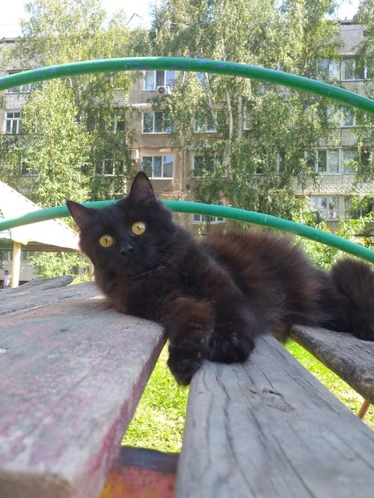 В самые добрые ручки