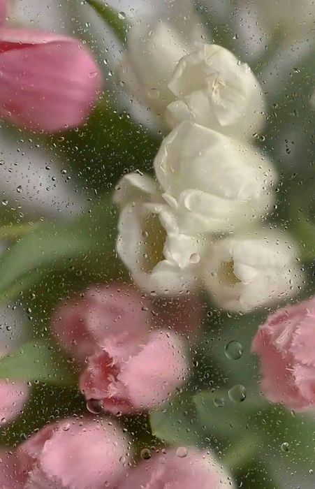 Массаж 24/7. Выезд.