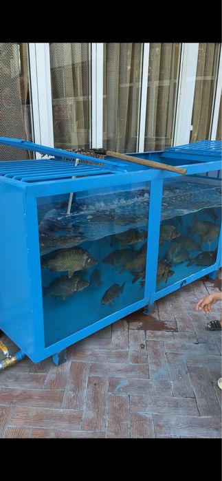 Аквариум баликлар учун  3x1x1 3 тонналик