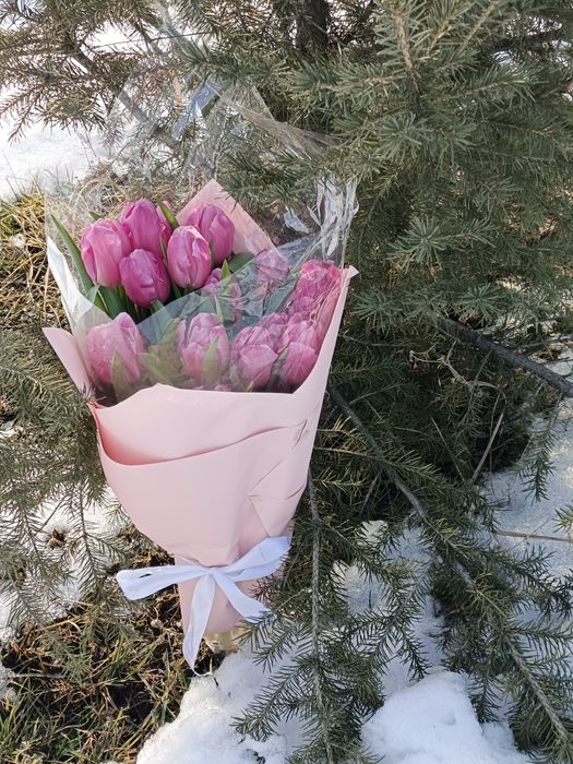 Тюльпаны в оптом и розницу