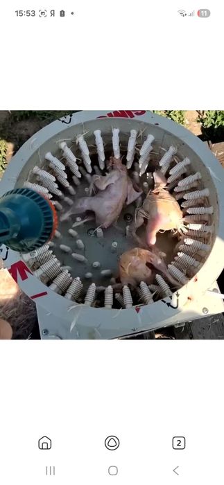 Бедана тозалаш учун палес