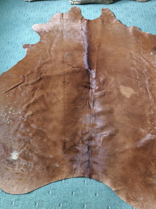 Продам Шкуру лося