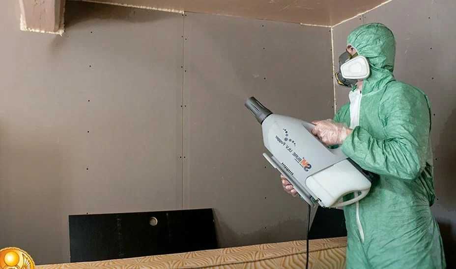 Дезинфекция насекомых клоп klop klapa Dezinfeksiya dezenfeksiya запах