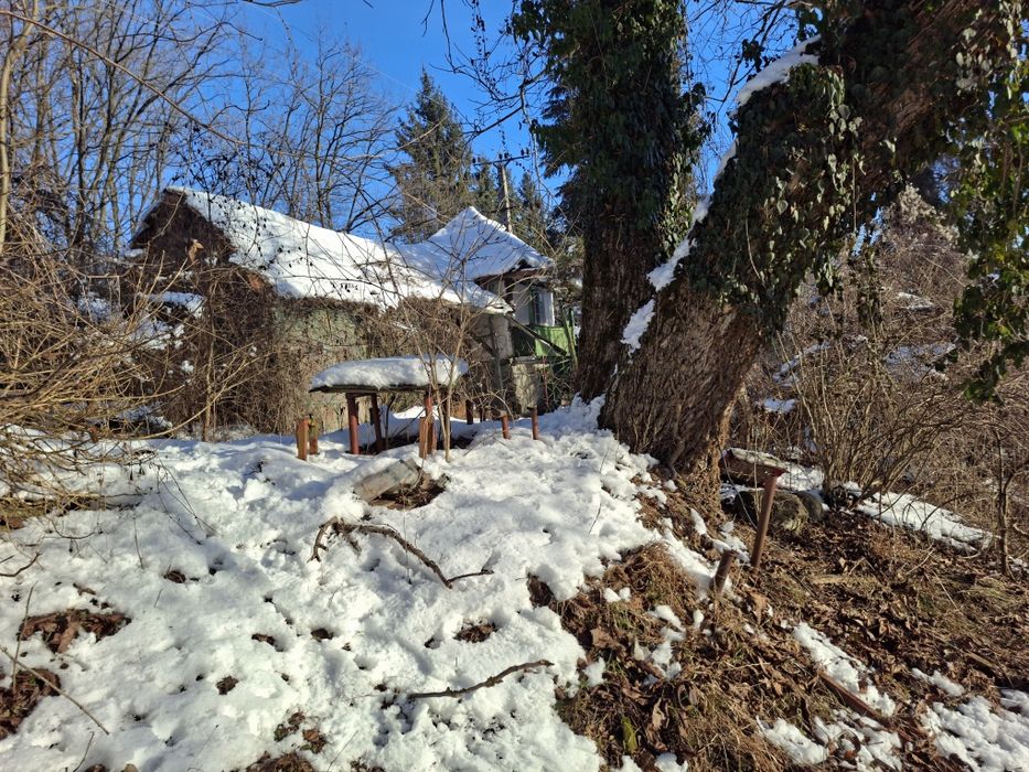 Teren 17 ari intravilan în Dămieni nr. 1 – zonă liniștită