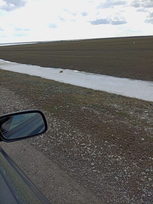 Продам Газель в рабочем состоянии