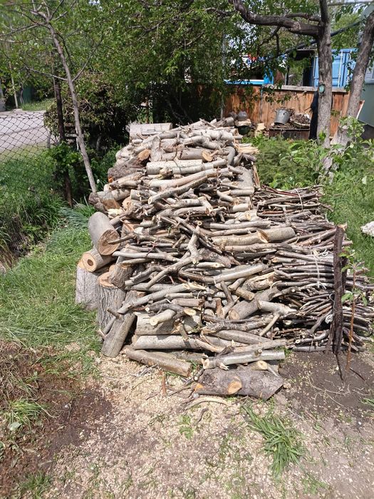 Дрова дерева орех
