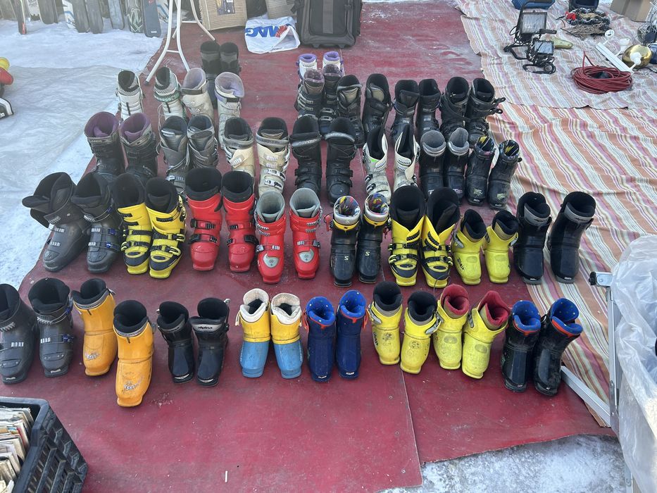 De vanzare  clapari copii , la 30 lei perechea  la 80 lei