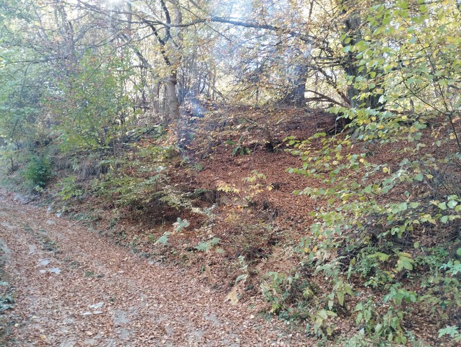 Продава се Земеделски имот в с. Дедово, Област Пловдив -  кв.м за 12 €/дка - Снимка #3