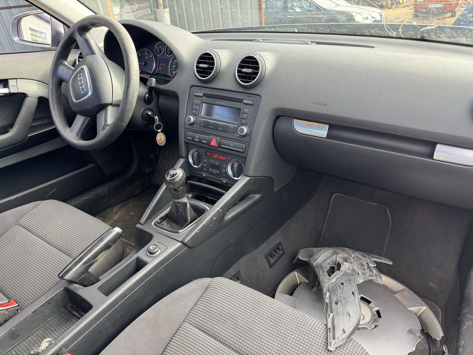 Audi A3 8P 1.9 tdi BLS