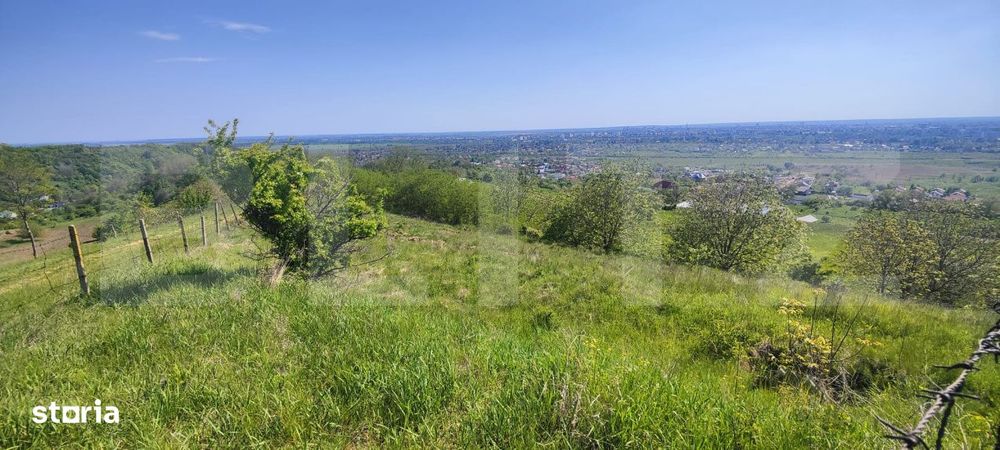 Teren Panoramic 15.500 mp – Investitie sau Dezvoltare, Zona Aleea Ma