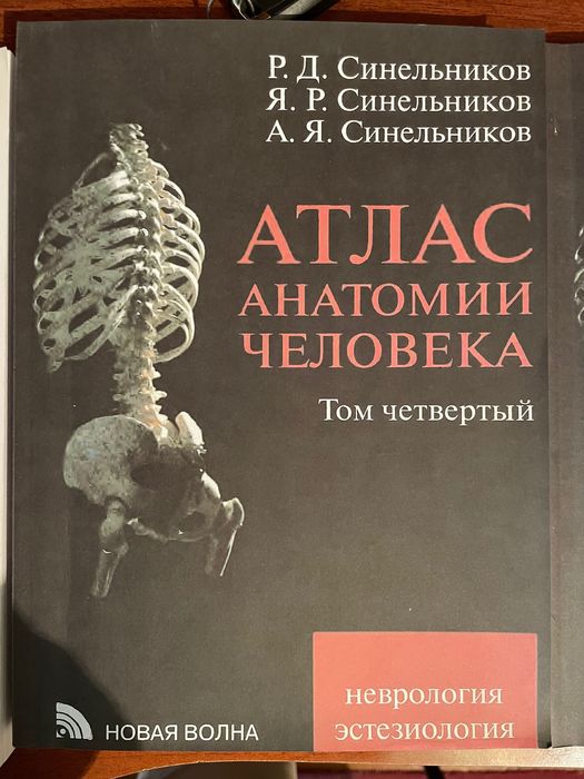 Атлас анатомия человека Р.Д.Синельников