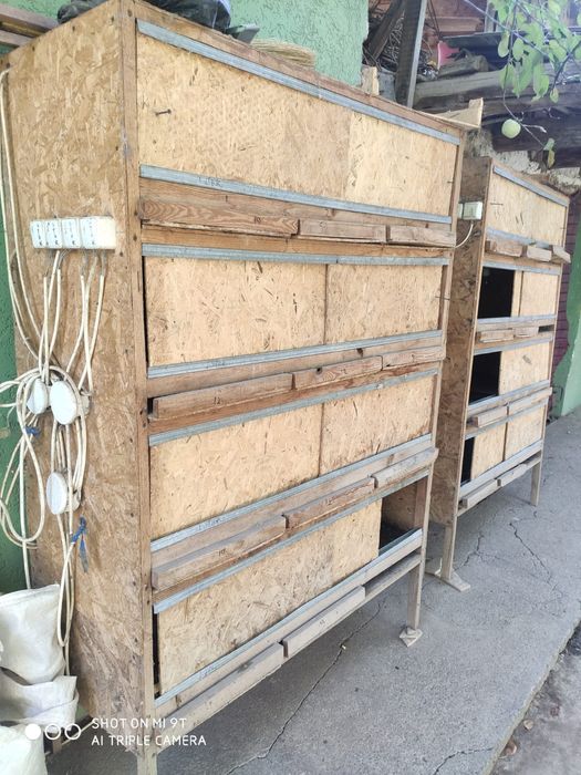 Клетки для перепелов