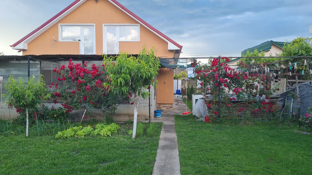 Vând casă  ciocarlia de jos