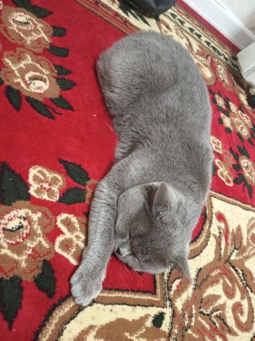 Emlangan dorilariberilgan