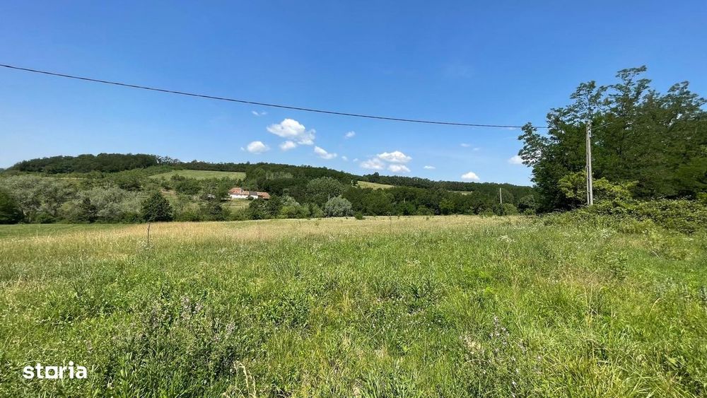Teren 10.000 mp în Ceica – Oportunitate Excelentă de Investiție!