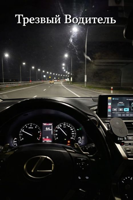 Трезвый водитель