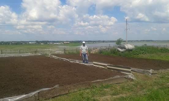 Биогумус вермикомпост