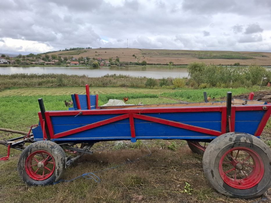 Vând iapă de 4 ani