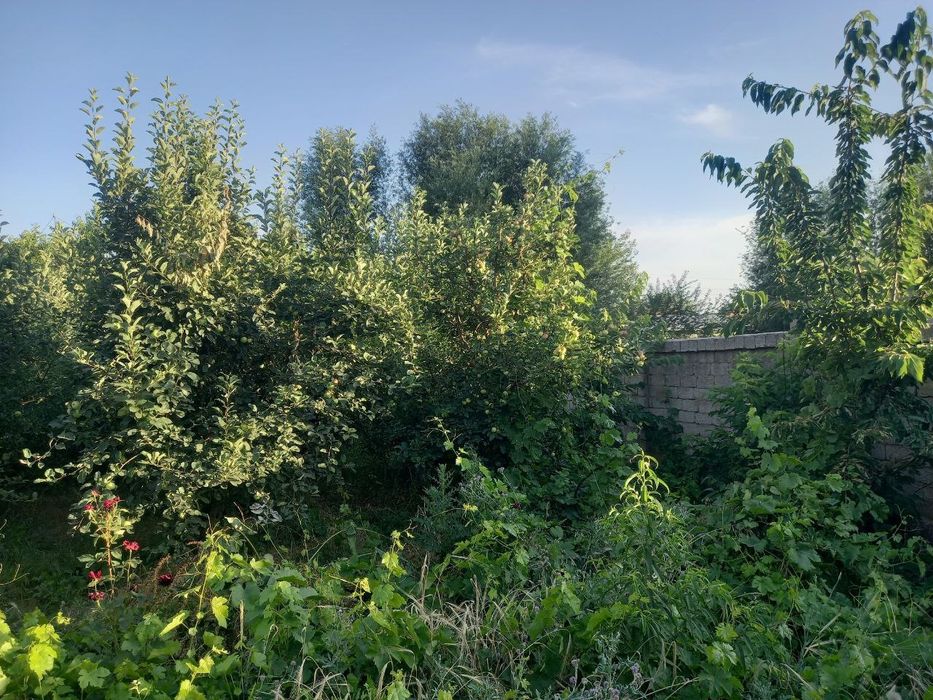 Кибрай тумани Маданиятдан 5,45 сотих ховли сотилади