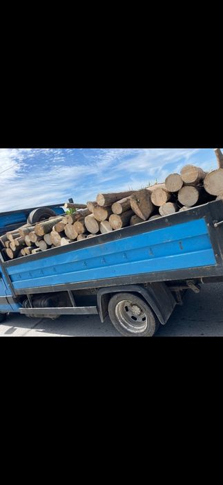 Vând lemne de foc fag, stejar