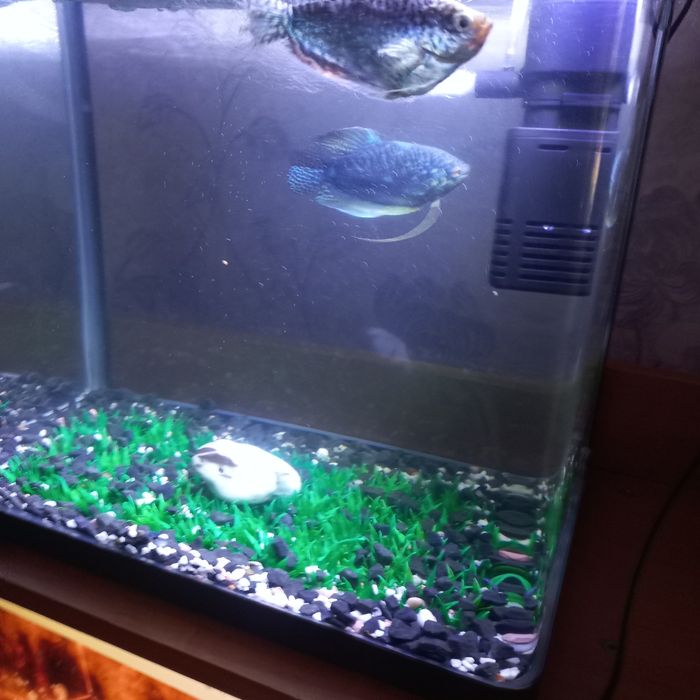 Продам аквариум разные.