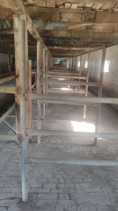 Склад ва Молхона арендага