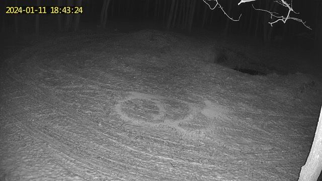 Camera Vanatoare rotativa  ForestVision Live C6