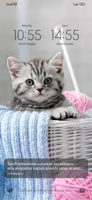 Redmi 9T sotiladi . Aybi yoʻq  qiz bola ishlatgan