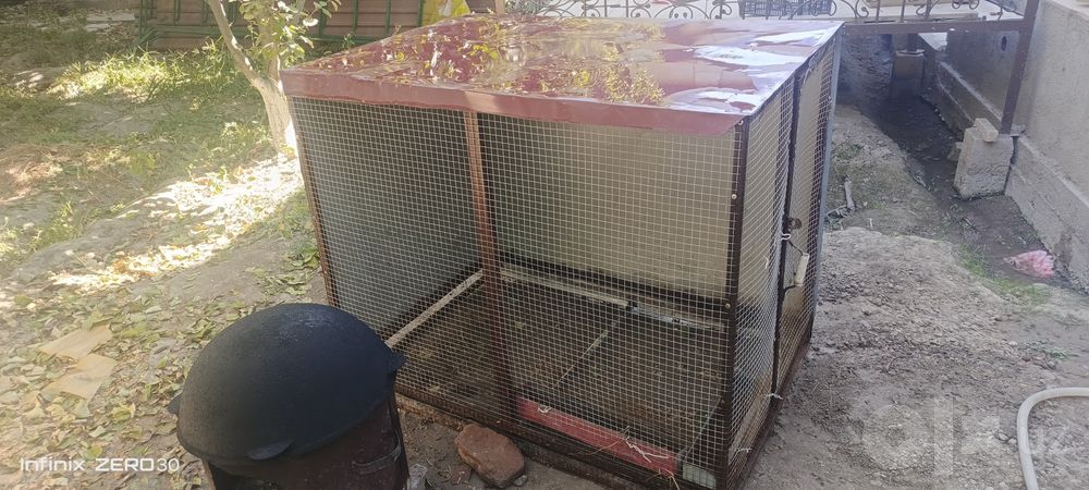 Tovuq katak sotiladi