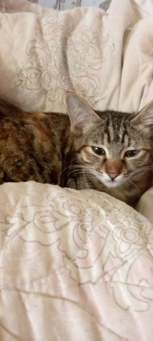 Ular uni mast qilib, atrofga otkazib yuborishdi