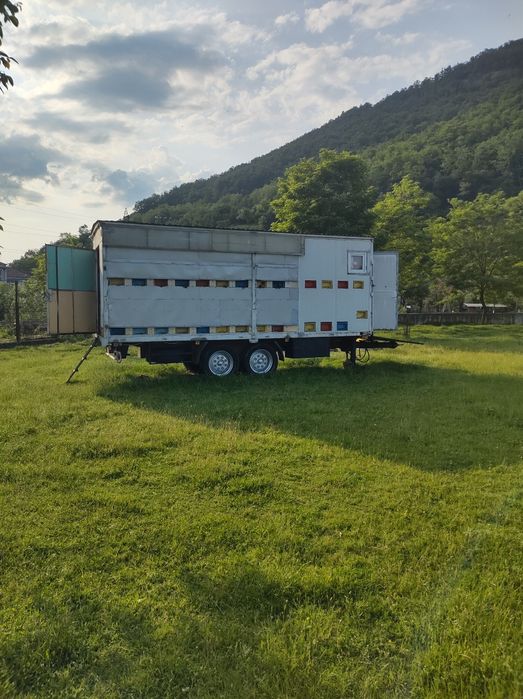 LICHIDEZ STUPINĂ Vând camion neomologt apicol, VOLVO și remorca  2 axe