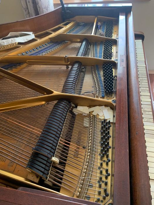 Pian coada scurta Blüthner