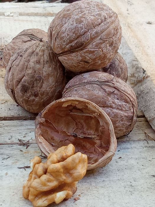 Nuci verzi producție anul 2025 deosebit de mare