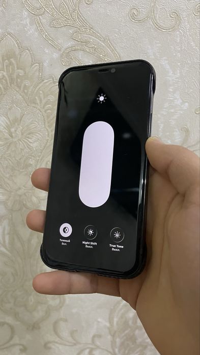 iphone 12 pro srochna