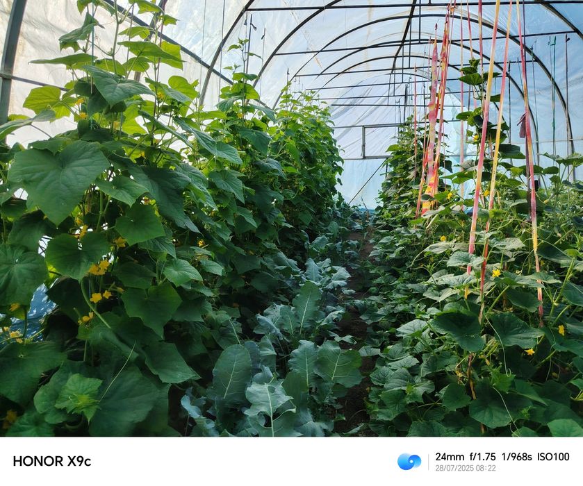 Продается дом котедж