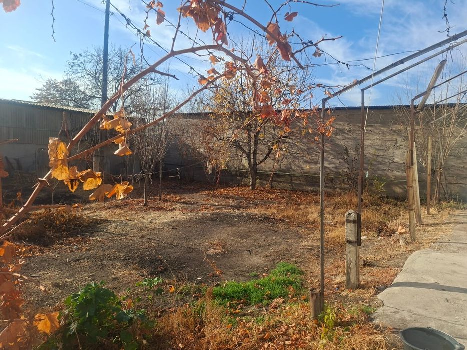 Тез арада уи сатылады