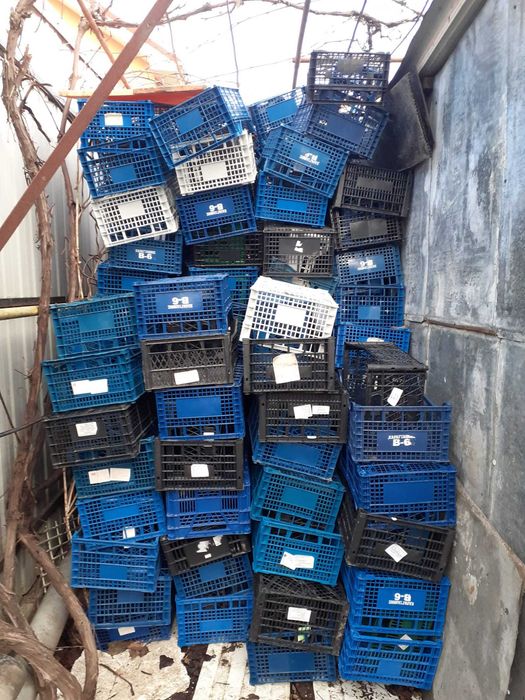 Vând lădițe din plastic