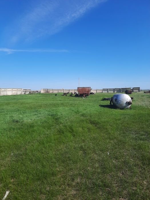 Мал бордақылауға қолайлы жер.