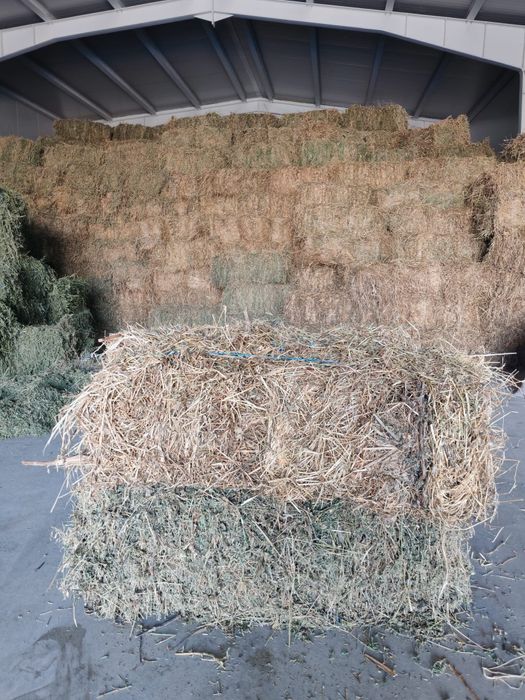 Vând Baloți de lucerna