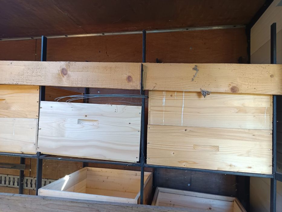 Camion Omologat apicol