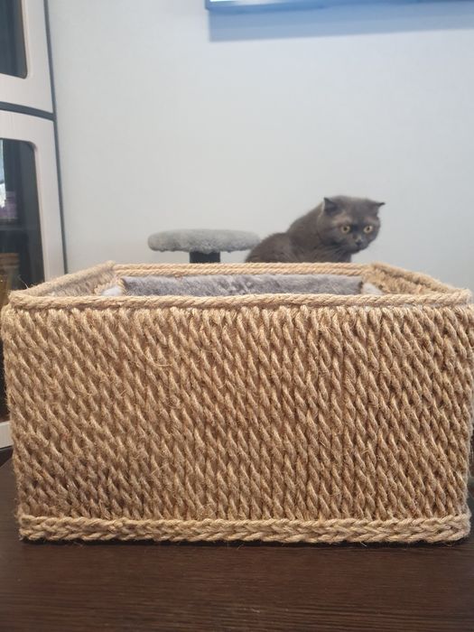 Домик для котика