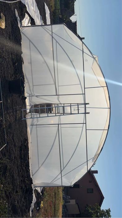 Solar legume solarii flori sera agricola