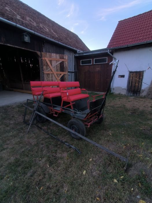 Vând trăsura 6 locuri.