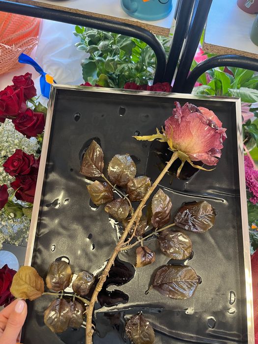 Роза в епоксидна смола