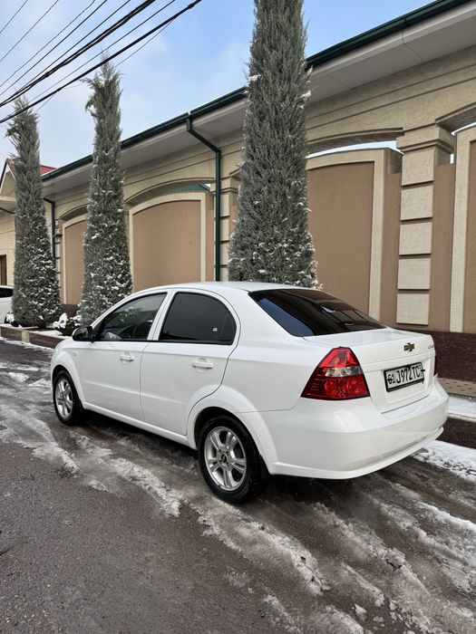 АРЕНДА Викуп  Nexia 3 топ тоза