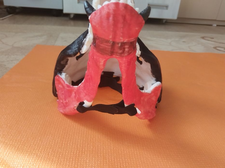 маска скалл дога