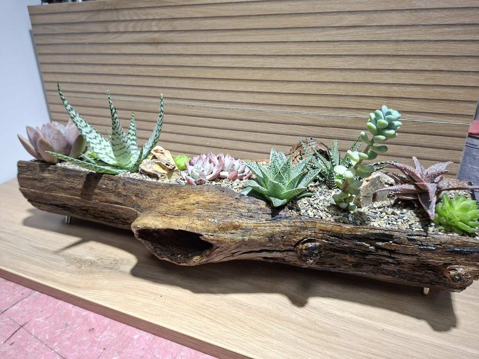 Мини градинка за вашият дом и офис.