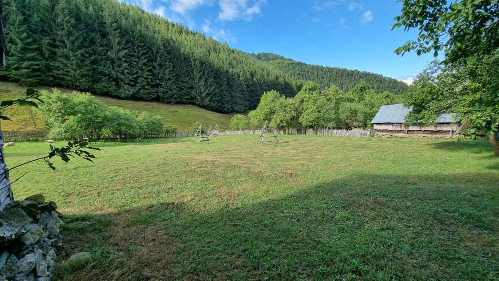 Teren vanzare sat de munte - Mlaceni - Valcea